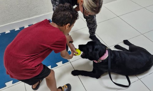 Prefeitura de VR terá projeto de cinoterapia para crianças atípicas em parceria com a Polícia Militar